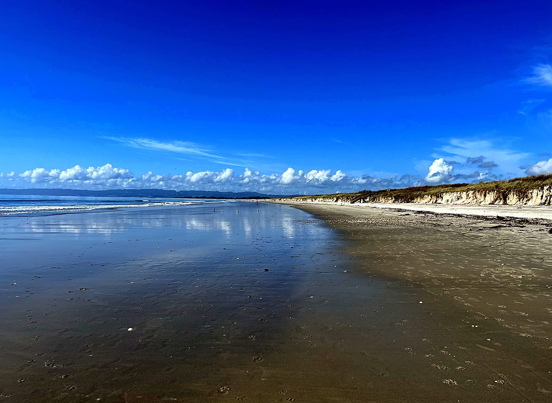 48 Perfect Hours in Ruakākā: A Weekend Itinerary