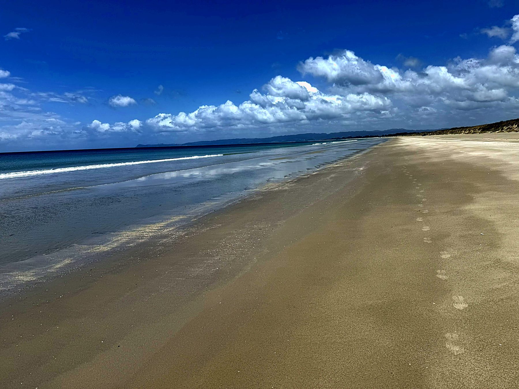 The long beach at surfcasting hour