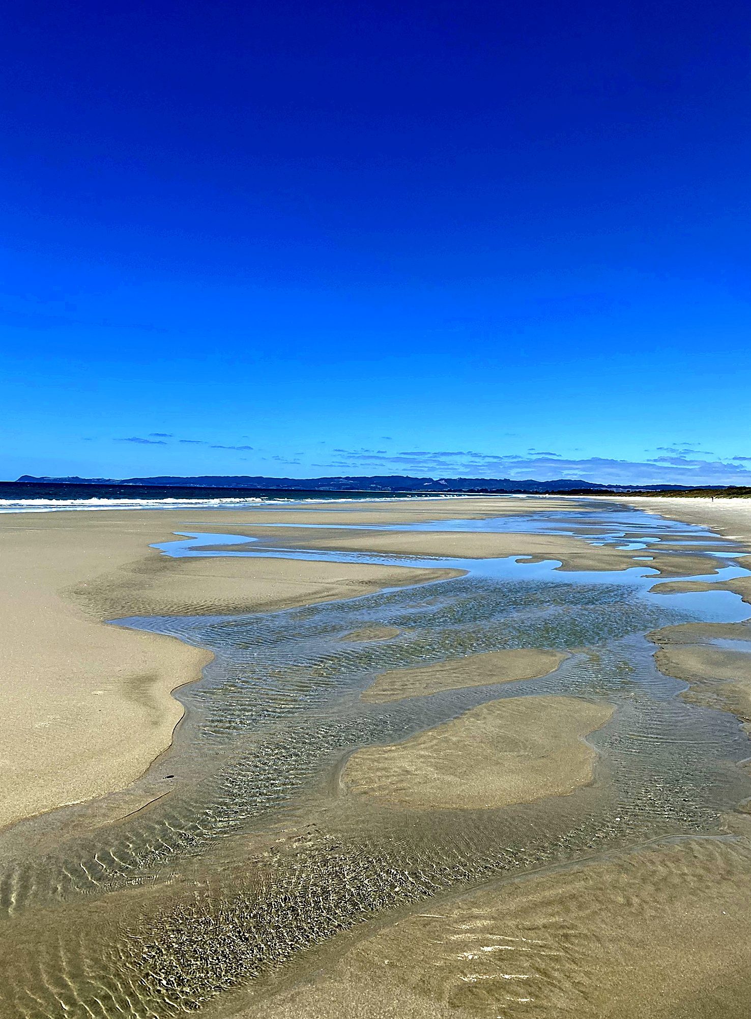 Tidal pools on the low tide flats