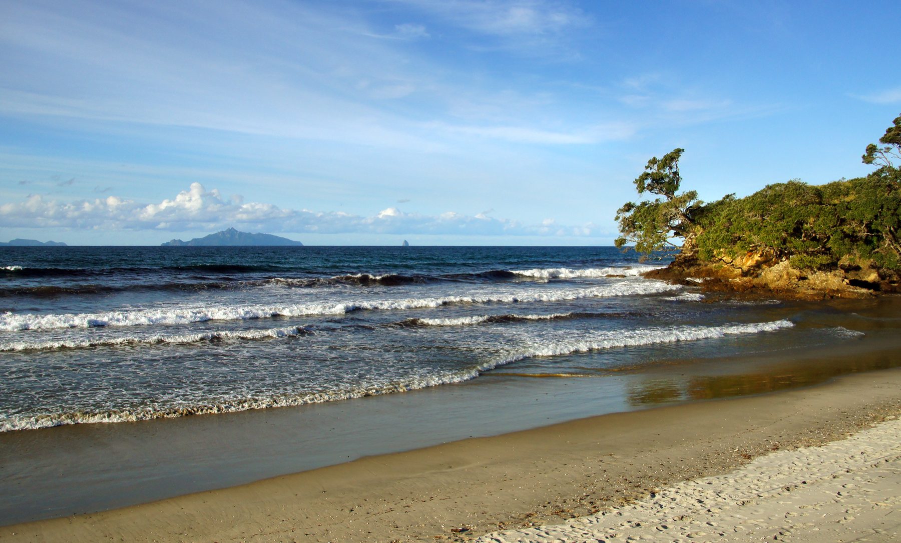 Pōhutukawa and coastline near Langs Beach with the Hen and Chicken Islands on the horizon